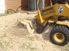 Stump Grinding Worcester Park